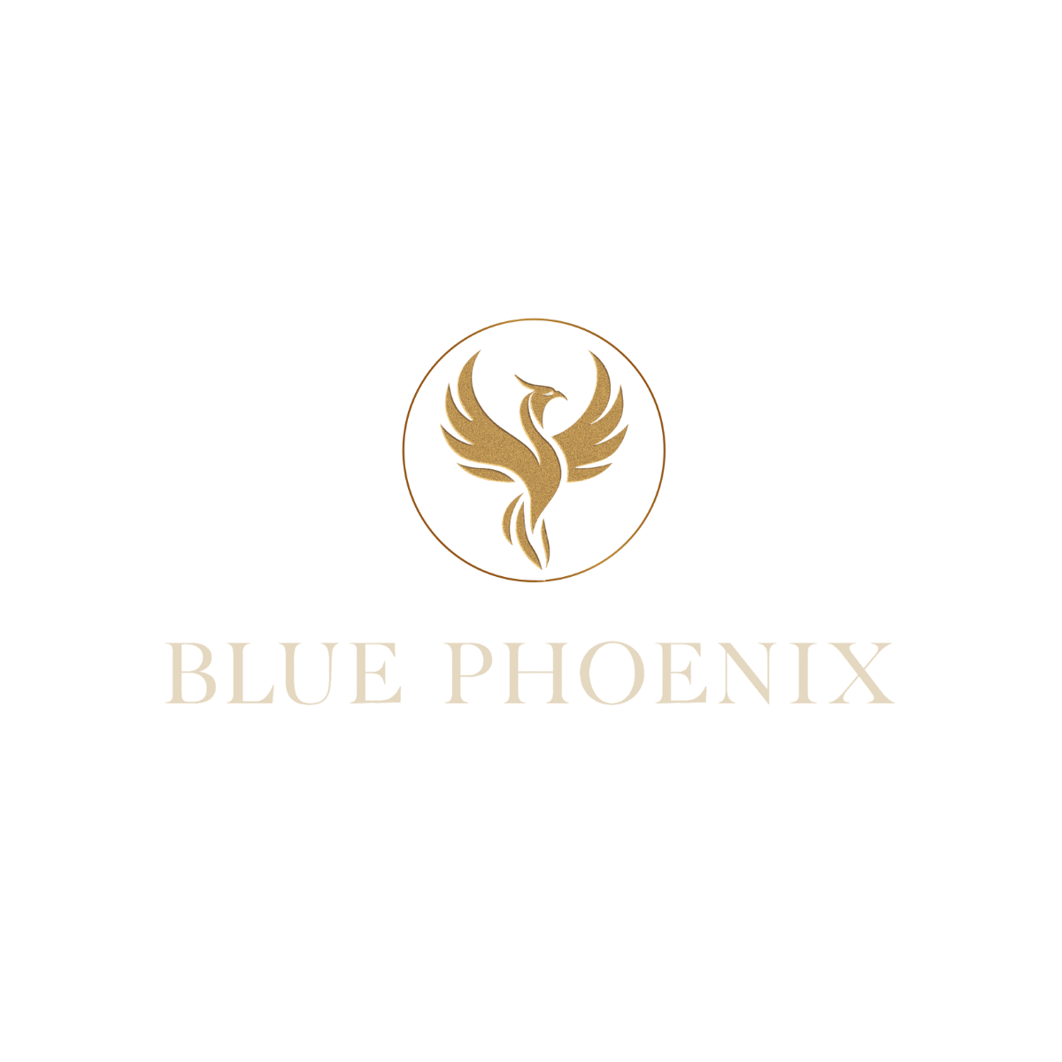 Blue Phoenix Enterprises UK Ltd – Talent Alchemy Consultancy